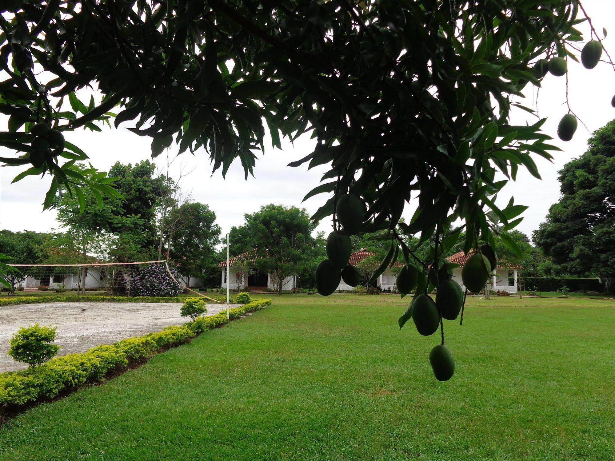 Hotel Campestre Arboretto Villavicencio Ngoại thất bức ảnh