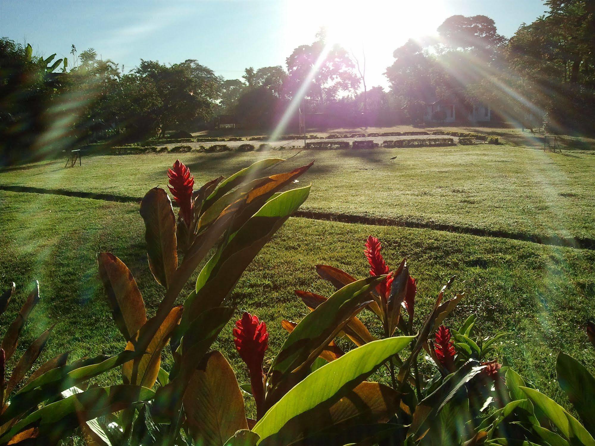 Hotel Campestre Arboretto Villavicencio Ngoại thất bức ảnh